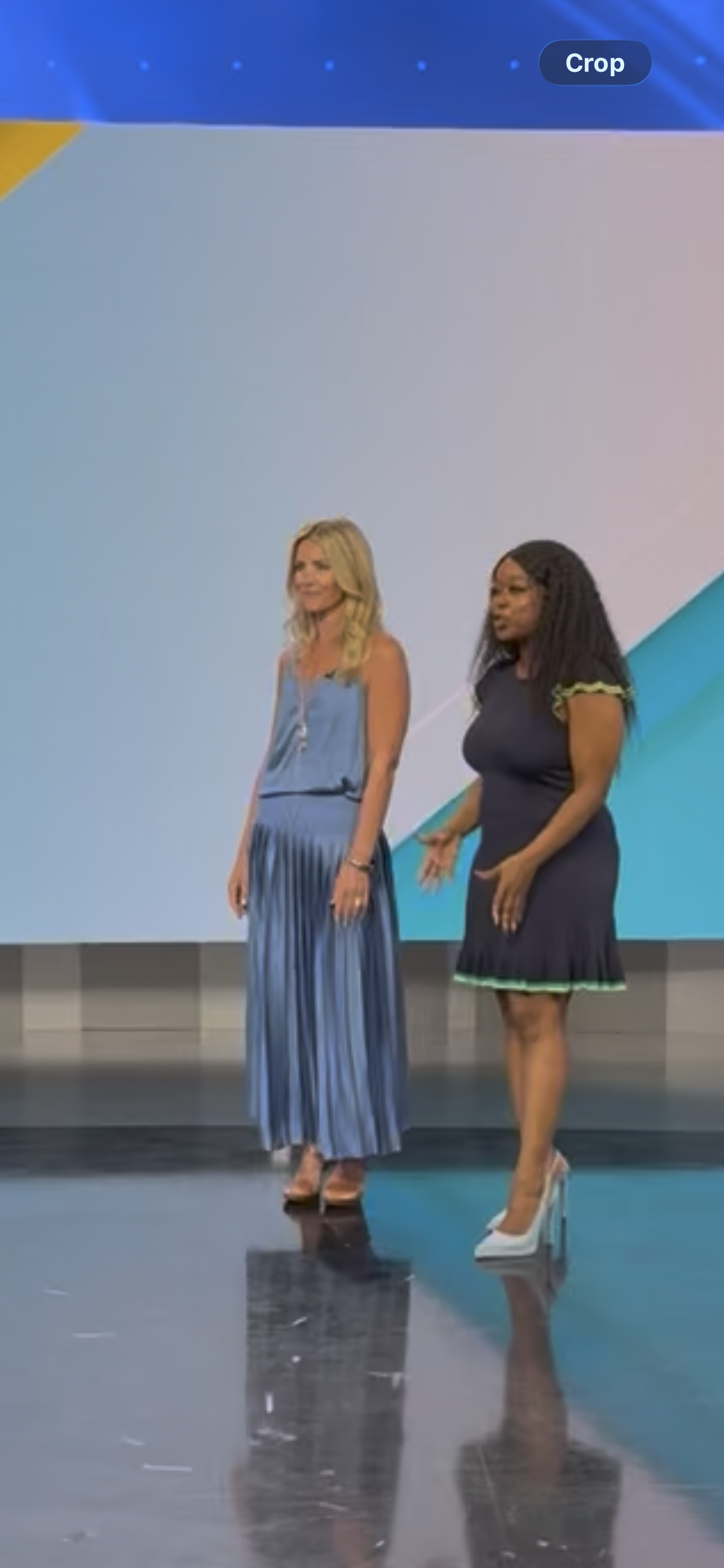 Grace Pleated Skirt